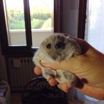 Everett Gardner - @catchaeman - Instagram