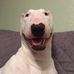 Everett Garland - Facebook