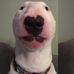 Everett Garland - Facebook