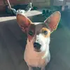Everett Gilbert - @everett.gilbert01 - TikTok