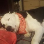 Everett Green - @everett_green_0795 - Instagram