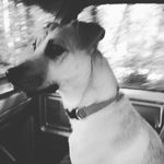 Everett Greene - @everett.greene2 - Instagram