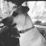 Everett Greene - @everett.greene2 - Instagram
