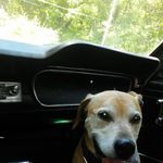 Everett Hall - @everett.hall.52 - Instagram