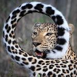 @everett_harte - Instagram