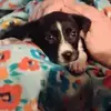Everett Hartshorn - @everett.hartshorn - TikTok