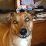 Everett Hatfield - Facebook