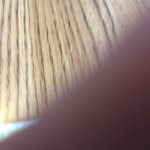 Jay Head - @jayeveretthead05201976 - Instagram
