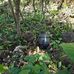 Everette Hanley - Facebook