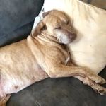 Leverett Holder - @leverettholder - Instagram