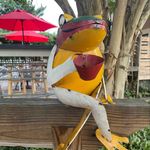 Everett Hutton - @everett.hutton - Instagram