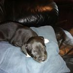Everett Lee Kelley - @everettleekelley - Instagram
