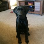 Everett - @everett_mclaughlin - Instagram