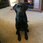 Evevett McLaughlin - @everett_mclaughlin_63 - Instagram