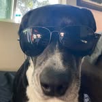 Everett Mann - @everett.mann.7737 - Instagram