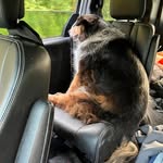 Everett Marks - @everettmarks - Instagram