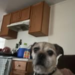 Everett Medley - @everettmedley - Instagram