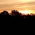 Everett McGill - Facebook