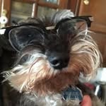 Everett Morgan Griffiths - @everettmorgangriffiths - Instagram
