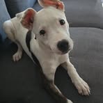 Luca-James Everett Morgan - Facebook