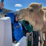 Everett Olson - @everett.olson - Instagram