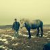 Everett Patterson - Facebook