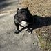 Everett Patterson - Facebook