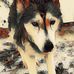 Everett Payne - Facebook