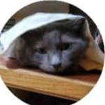 Everett Peterson - @everett_peterson__ - Instagram