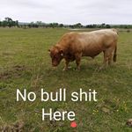 Everett Phillips - @everett.phillips.779 - Instagram