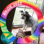 Everett Pinkston - Facebook