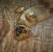 Everett Pitts - Facebook