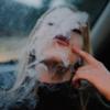 Everett Price - @everett357 - TikTok