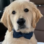 Leo Everett - @prince_leo_everett - Instagram