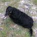 Everett Proctor - Facebook