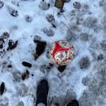 Everett purcell - @everett_purcell1 - Instagram