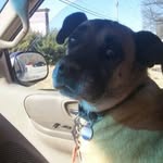 Everett Quinton - @equinton1 - Instagram