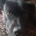 Everett Reber - Facebook