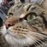 Everett Renner - @bigesoccer25 - Instagram
