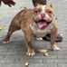 Everett Richard - Facebook
