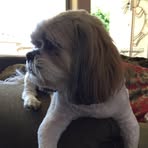 Everett Richardson - Facebook