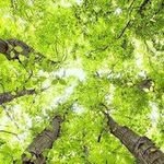 Everett Riley 741 - @lesliemurray54822618 - Instagram