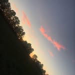 Riley Everett - @rileyreverett - Instagram