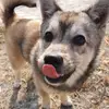 everettrobbinstr4400 - @everettrobbinstr4400 - TikTok