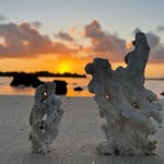 @craig_everettrocks - Instagram