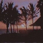Everett Rodriguez - @da_boof_69 - Instagram