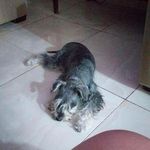 Miguel Everett Rodríguez - @migueleverettrodriguez - Instagram