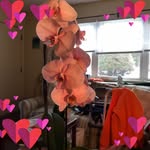 Hilda Everett Rooney - @hildaeverettrooney - Instagram