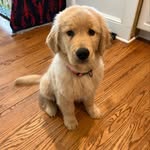 @rooneyeverett - Instagram