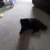 Everett Roos - @everett.roos - TikTok